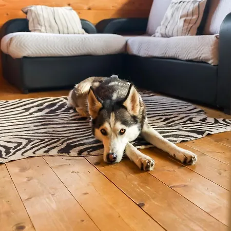 Aldeamento Turístico Da Laje - Onde A Natureza O Envolve - Serra Da Estrela Oliveira do Hospital