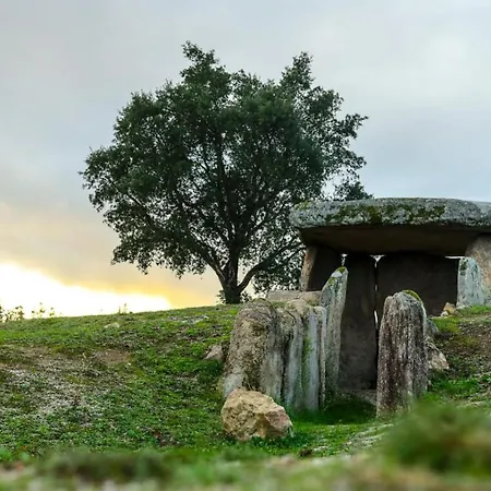 Da Laje - Onde A Natureza O Envolve - Serra Da Estrela Aldeamento Turístico Oliveira do Hospital