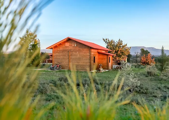Üdülőpark Da Laje - Onde A Natureza O Envolve - Serra Da Estrela Oliveira do Hospital