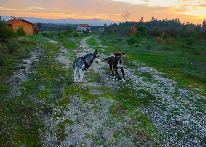 Kompleks wypoczynkowy Da Laje - Onde A Natureza O Envolve - Serra Da Estrela