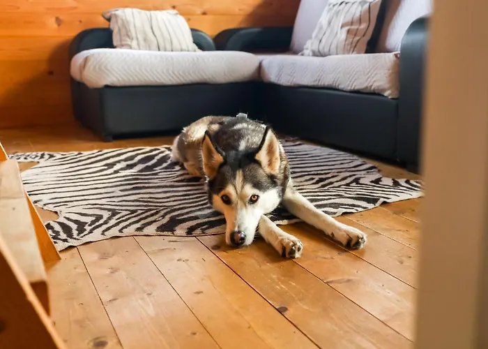 Üdülőpark Da Laje - Onde A Natureza O Envolve - Serra Da Estrela Oliveira do Hospital
